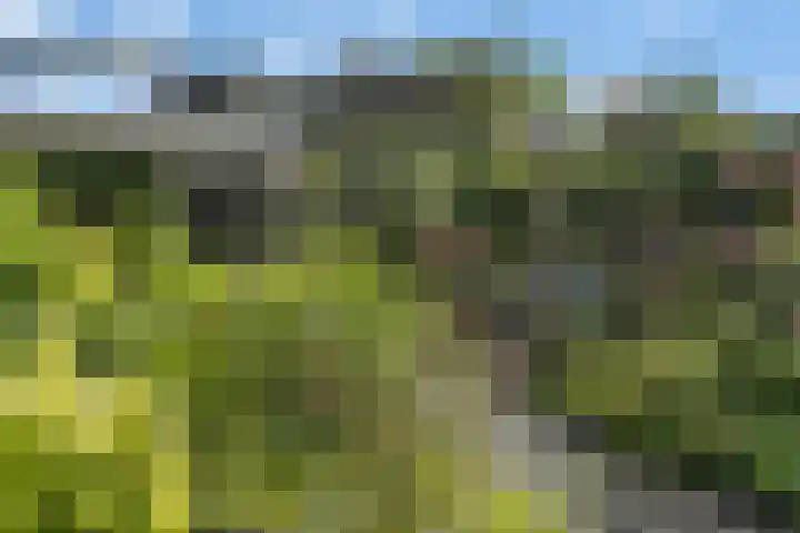 Eelderdiep 29 Zwolle thumbnail 32