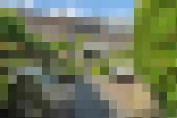 Eelderdiep 29 Zwolle thumbnail 33