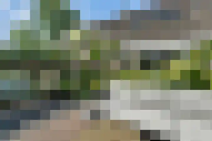 Eelderdiep 29 Zwolle thumbnail 35