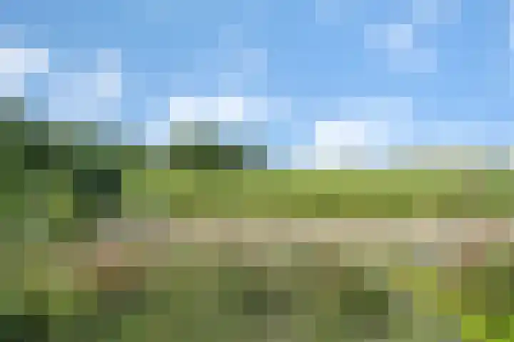 Eelderdiep 29 Zwolle thumbnail 36
