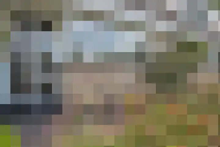 Eelderdiep 29 Zwolle thumbnail 5