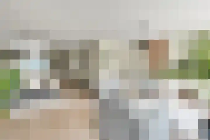 Eelderdiep 29 Zwolle thumbnail 6