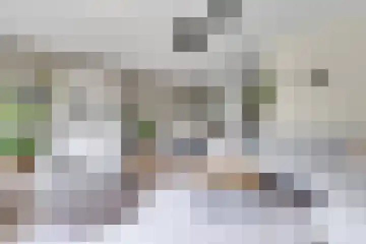 Eelderdiep 29 Zwolle thumbnail 7