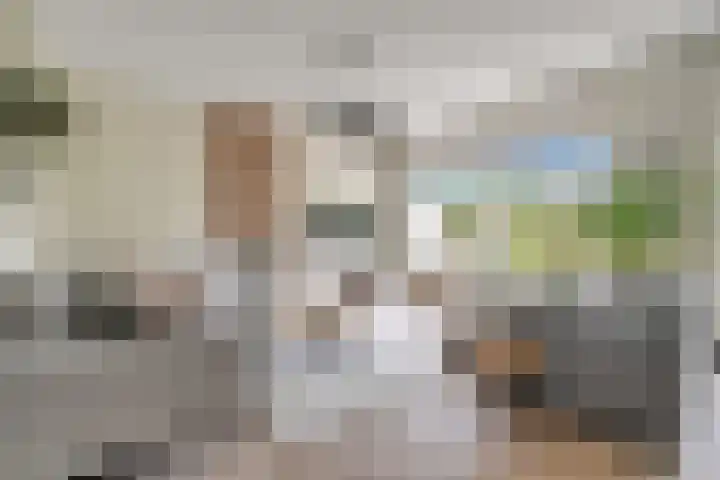 Eelderdiep 29 Zwolle thumbnail 8