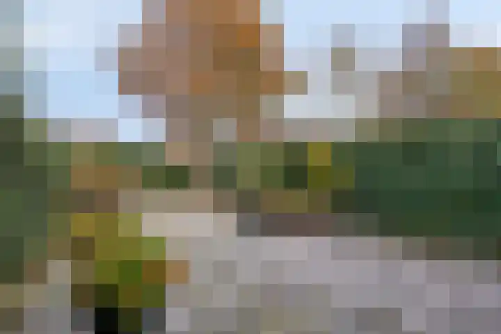 Eelderdiep 6 Zwolle thumbnail 36
