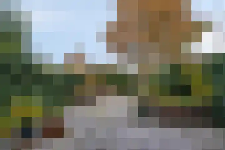 Eelderdiep 6 Zwolle thumbnail 37