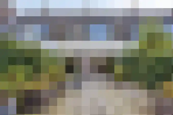 Eelderdiep 6 Zwolle thumbnail 38