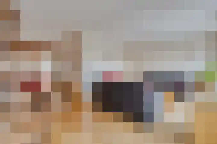 Eelderdiep 6 Zwolle thumbnail 8