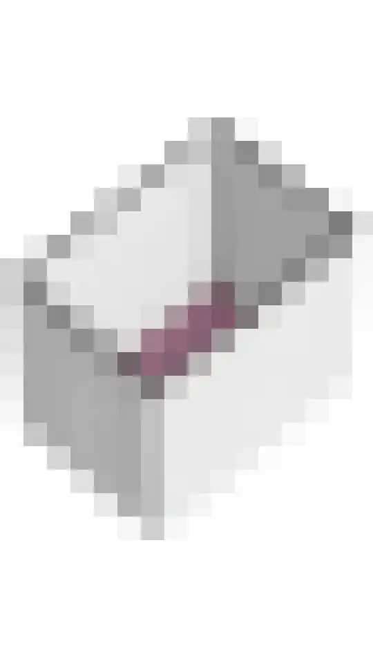 Eelderdiephof 56 Utrecht thumbnail 43