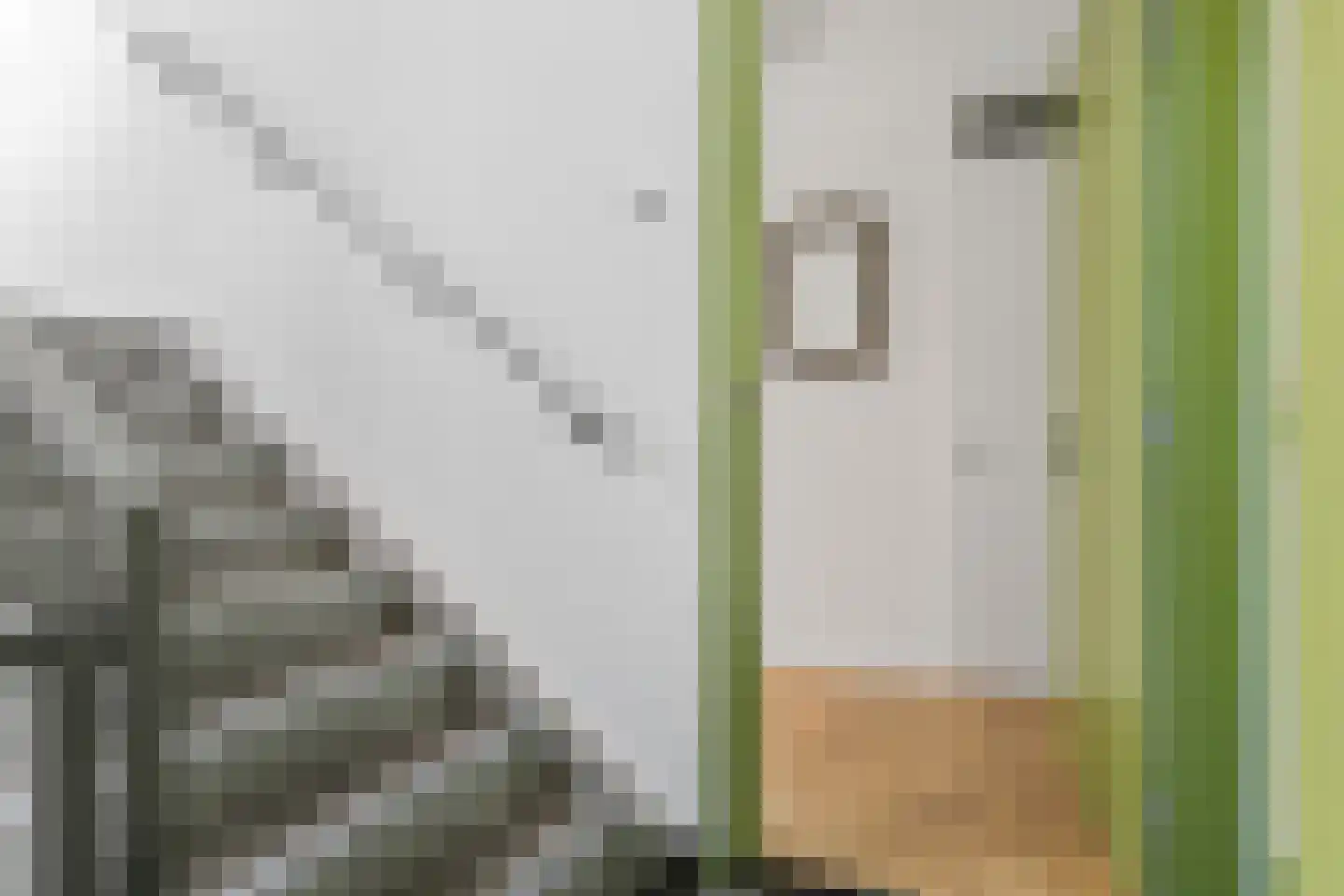 Eelderdiephof 56 Utrecht thumbnail 8