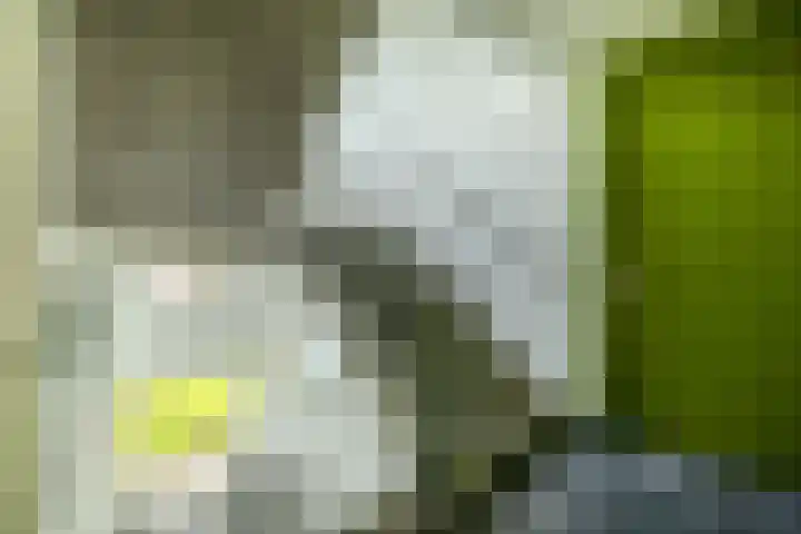 Eelderdiephof 60 Utrecht thumbnail 11