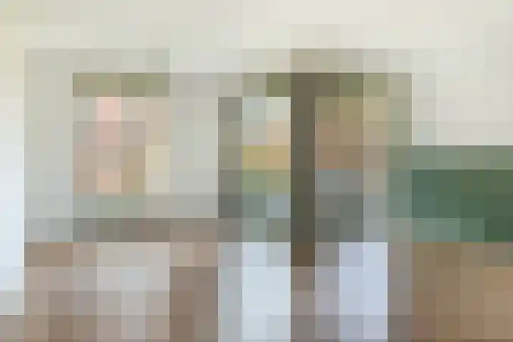 Eelderdiephof 60 Utrecht thumbnail 16