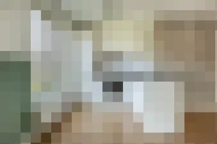 Eelderdiephof 60 Utrecht thumbnail 19