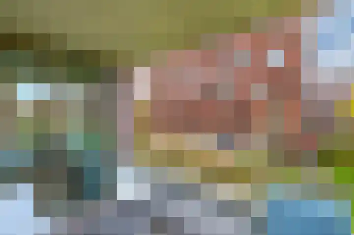 Eelderdiephof 60 Utrecht thumbnail 25