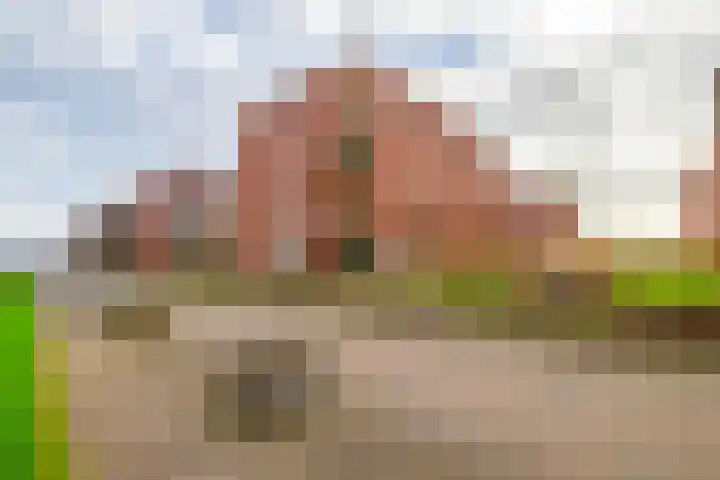 Eelderdiephof 60 Utrecht thumbnail 37