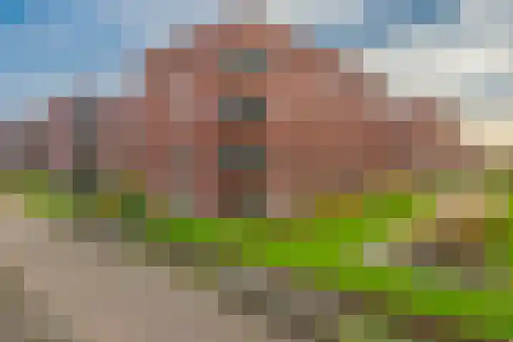 Eelderdiephof 60 Utrecht thumbnail 38