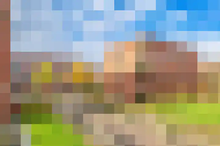 Eelderdiephof 60 Utrecht thumbnail 39