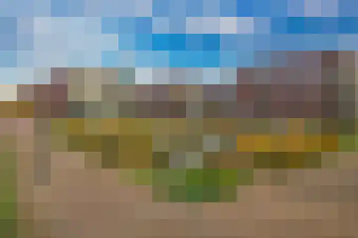 Eelderdiephof 60 Utrecht thumbnail 40