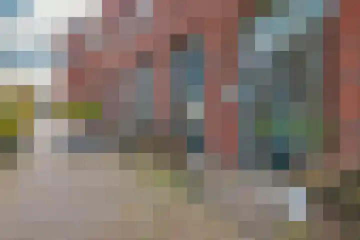 Eelderdiephof 60 Utrecht thumbnail 8