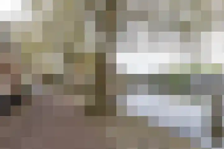Eeldersingel 1 Groningen thumbnail 20