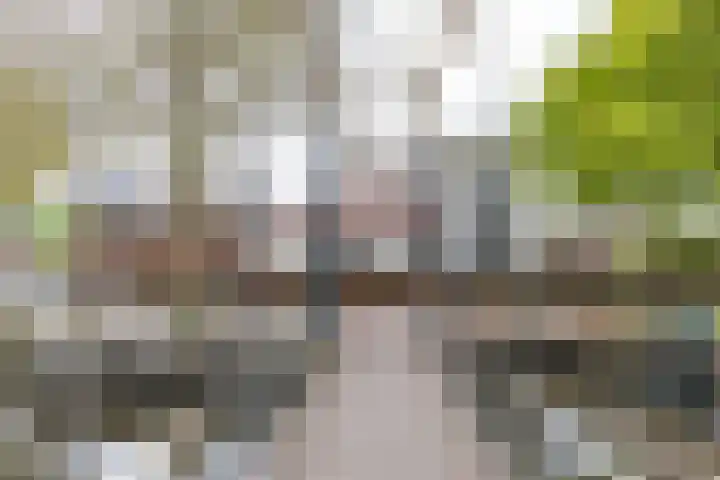 Eeldersingel 1 Groningen thumbnail 22