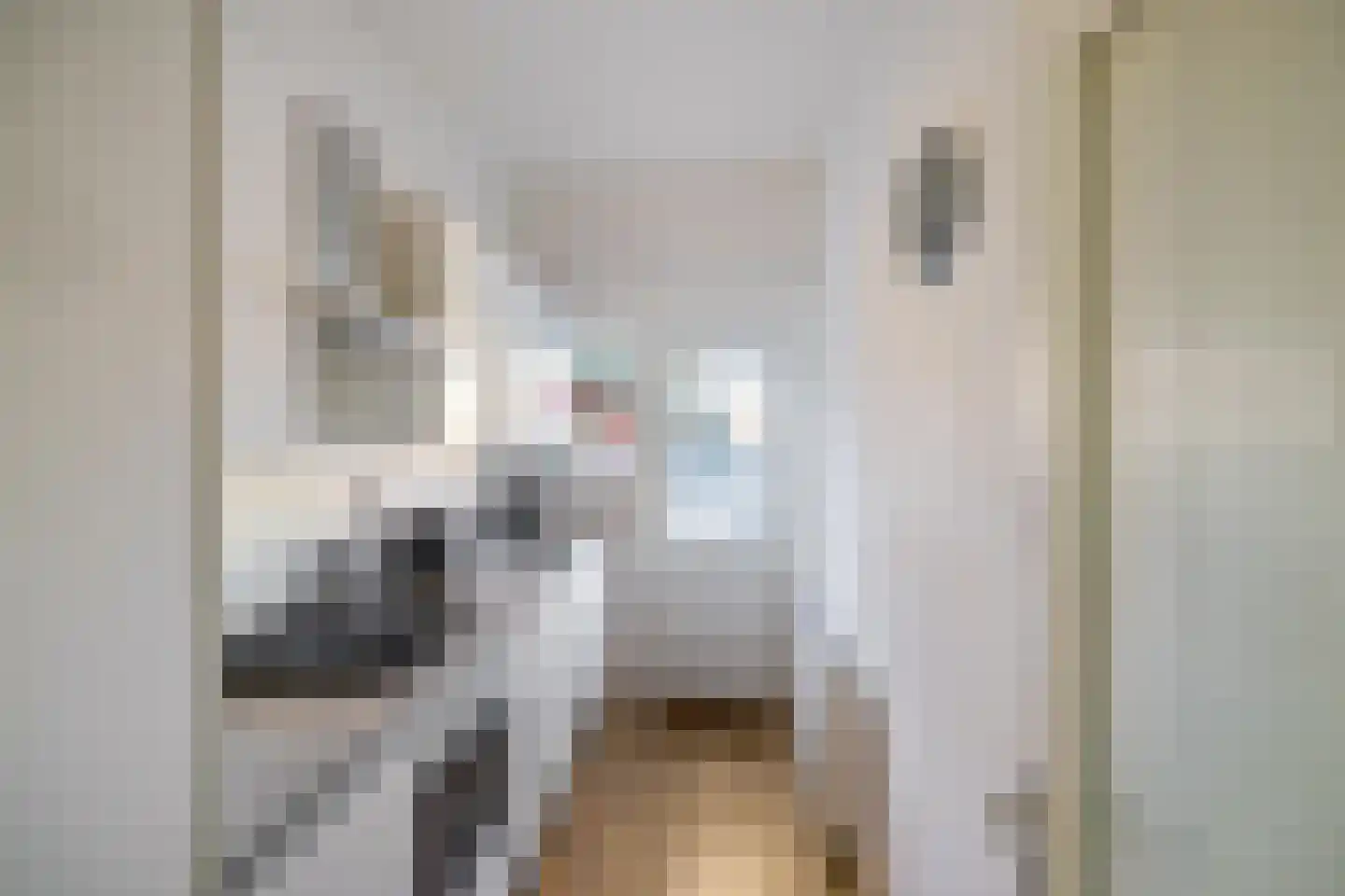 Eeldersingel 34 a Groningen thumbnail 5
