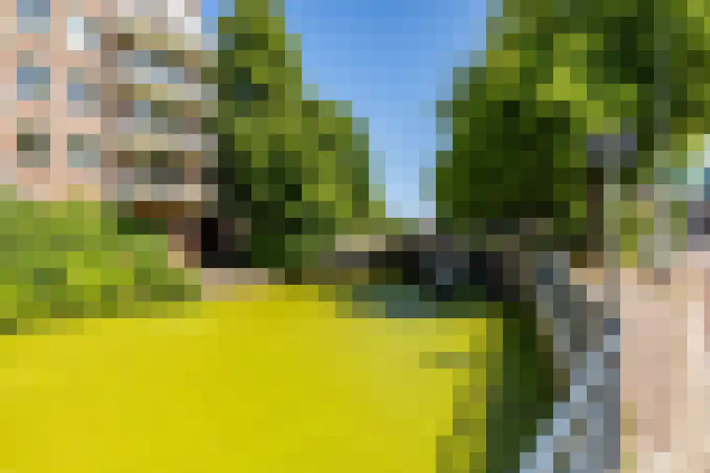 Eeldersingel 36 a Groningen thumbnail 29