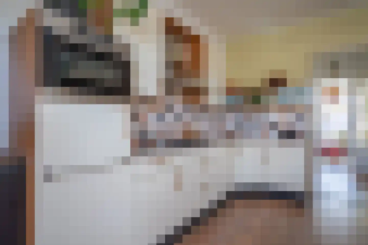 Eeldersingel 38 a Groningen thumbnail 19