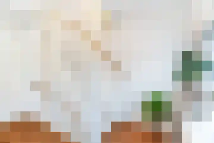 Eelerberg 3 Amersfoort thumbnail 18
