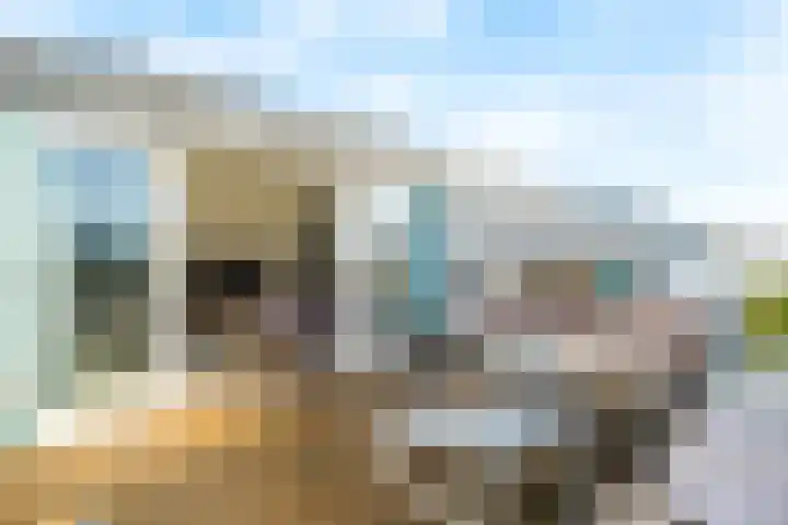 Eelerberg 3 Amersfoort thumbnail 24