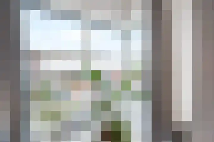 Eelerberg 3 Amersfoort thumbnail 27
