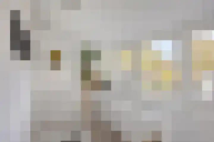 Eelerberg 77 Amersfoort thumbnail 30