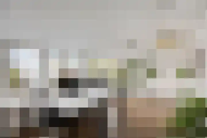 Eelerberg 77 Amersfoort thumbnail 31