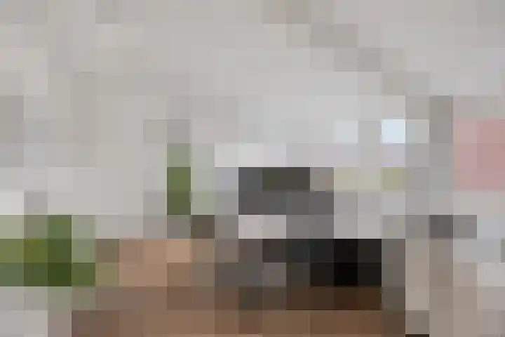 Eelerberg 77 Amersfoort thumbnail 32