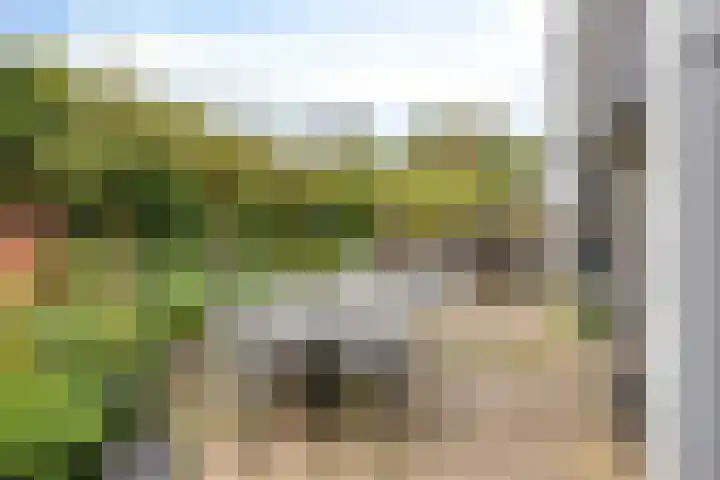 Eelerberg 77 Amersfoort thumbnail 35