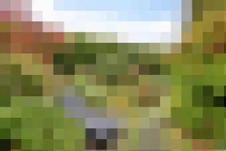 Eelerberg 77 Amersfoort thumbnail 36