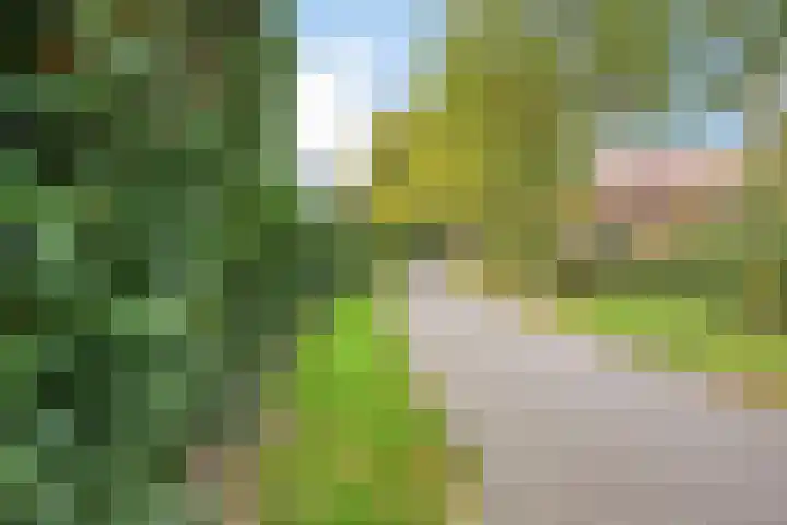 Eelerberg 77 Amersfoort thumbnail 40
