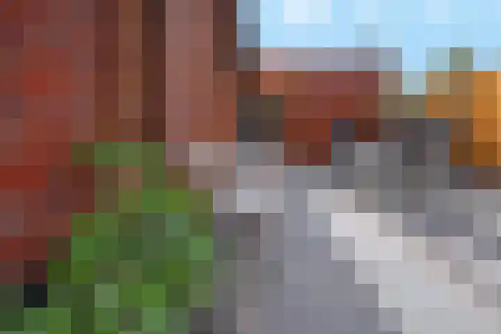 Eelerberg 8 Amersfoort thumbnail 40