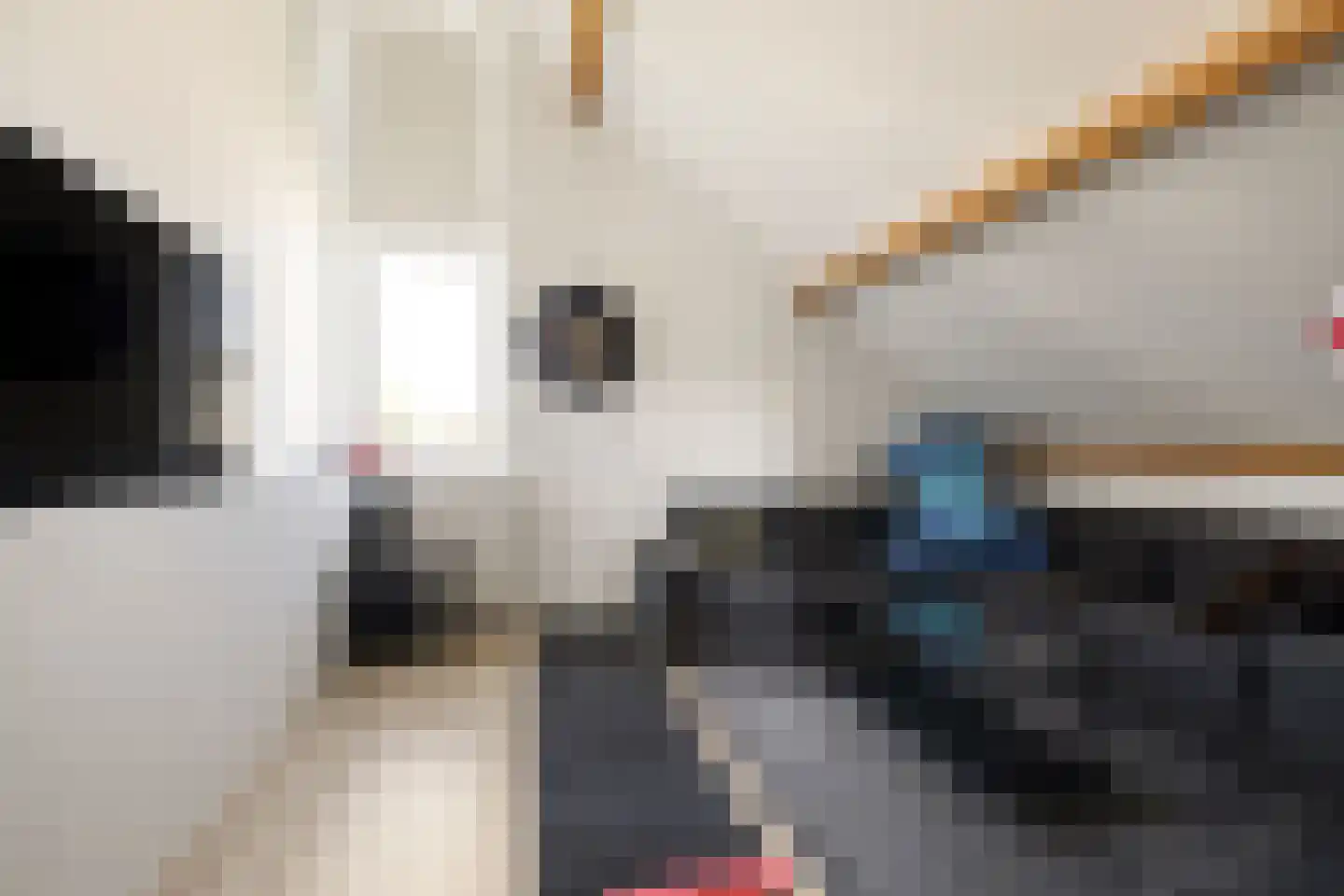 Eelerbergstraat 66 Almere thumbnail 32
