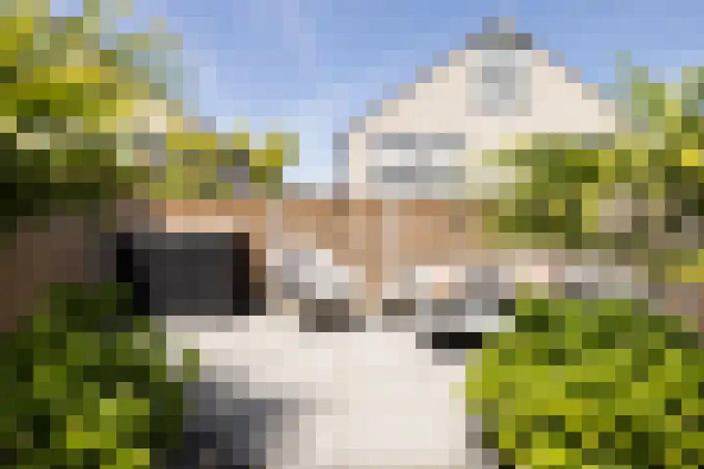 Eelerbergstraat 66 Almere thumbnail 37