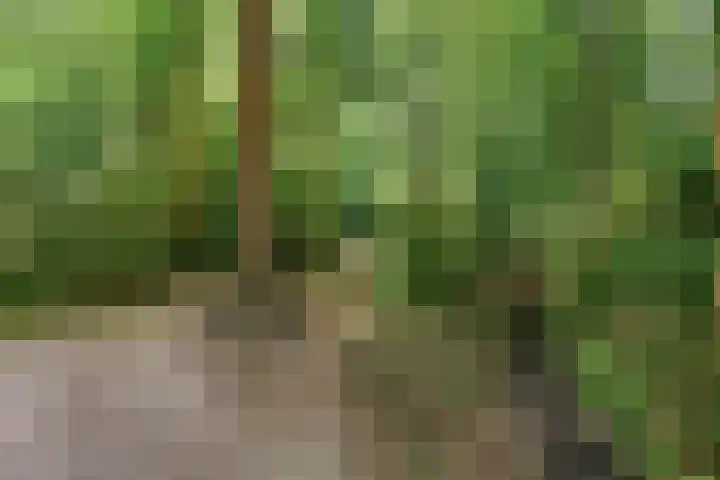 Eelinkstraat 33 Winterswijk thumbnail 53