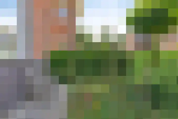 Eelinkstraat 33 Winterswijk thumbnail 6