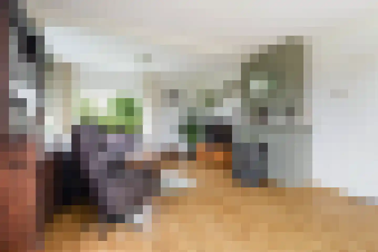 Eelke Meinertswei 29 A Westergeast thumbnail 19