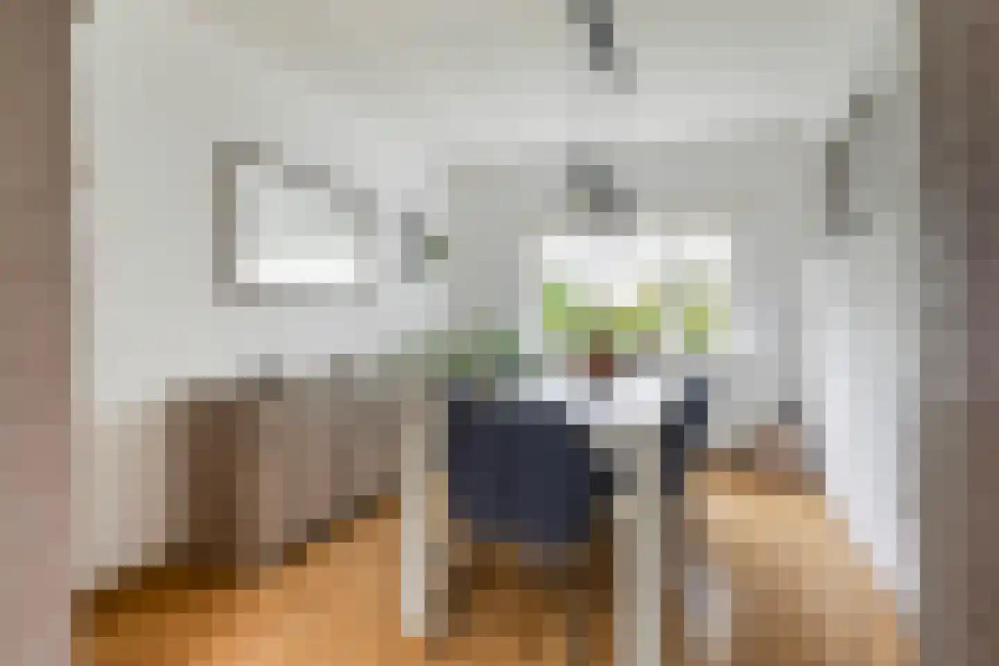 Eelke Meinertswei 29 A Westergeast thumbnail 22
