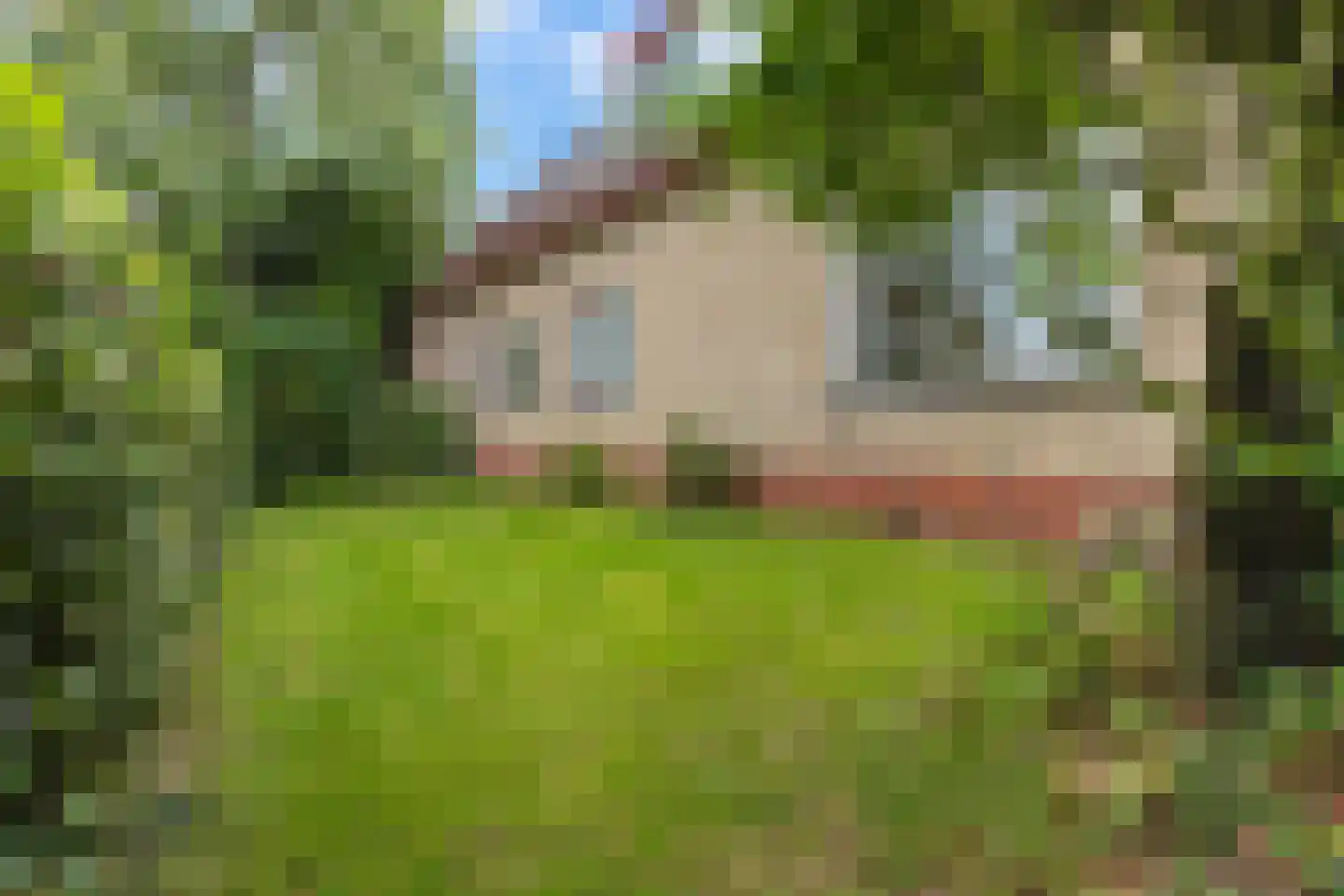 Eelke Meinertswei 29 A Westergeast thumbnail 30