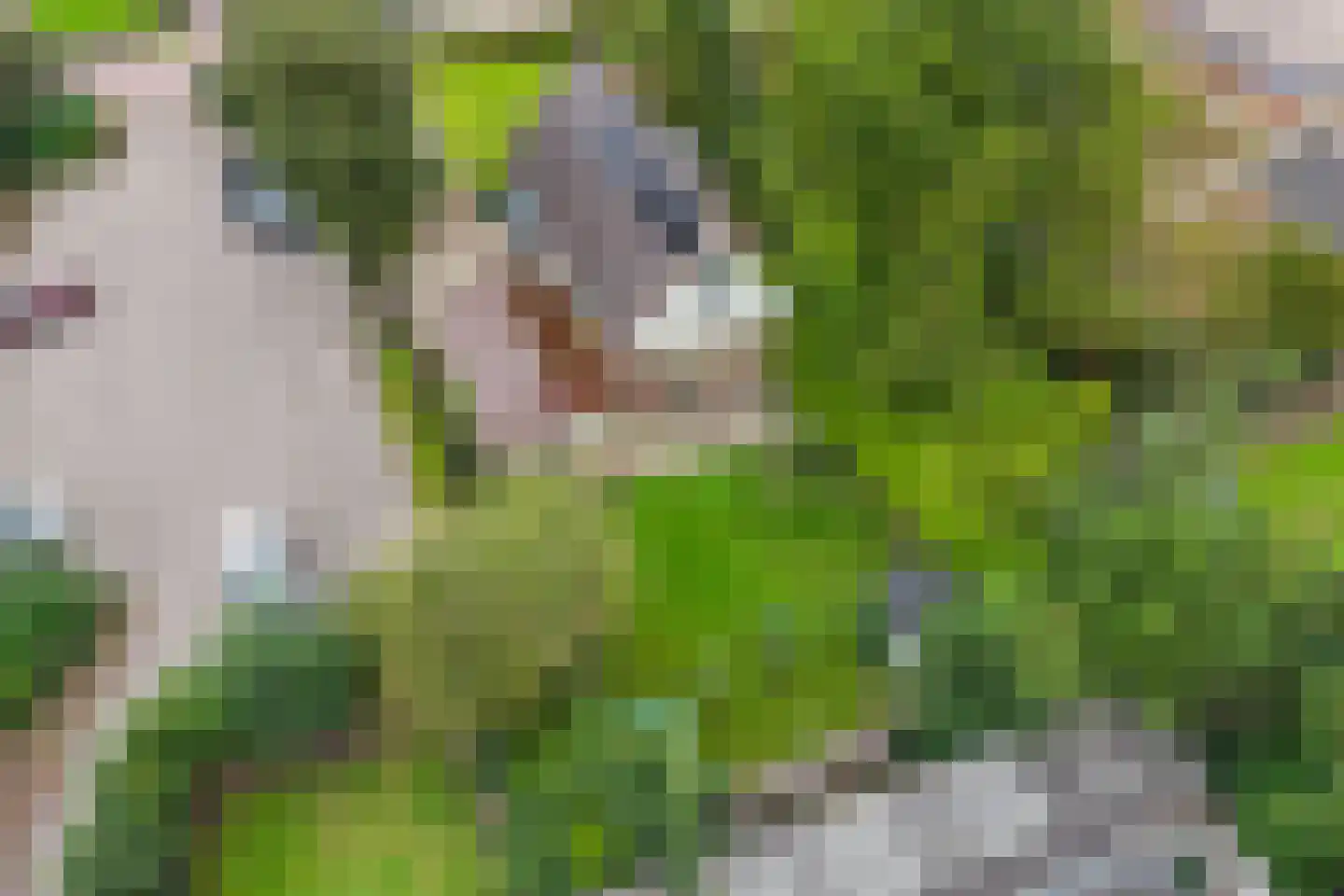 Eelke Meinertswei 29 A Westergeast thumbnail 4