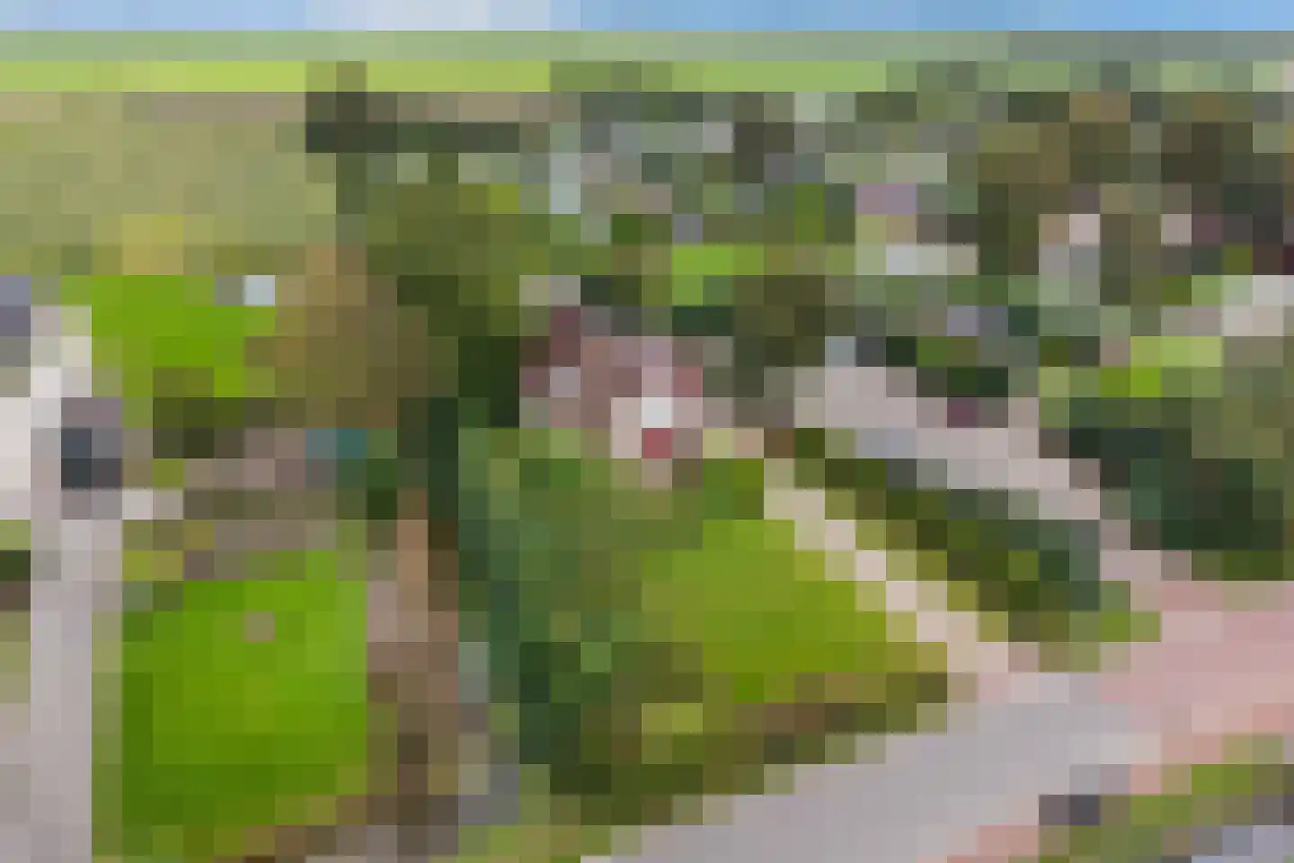 Eelke Meinertswei 29 A Westergeast thumbnail 7