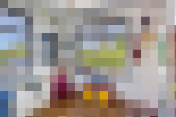 Eelke Meinertswei 34 Westergeast thumbnail 13