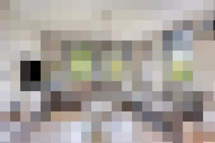 Eelke Meinertswei 34 Westergeast thumbnail 16