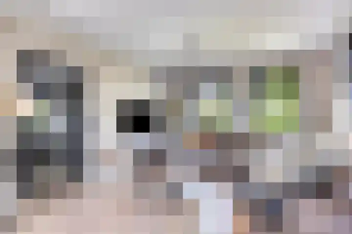 Eelke Meinertswei 34 Westergeast thumbnail 17